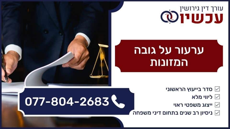 ערעור על גובה המזונות