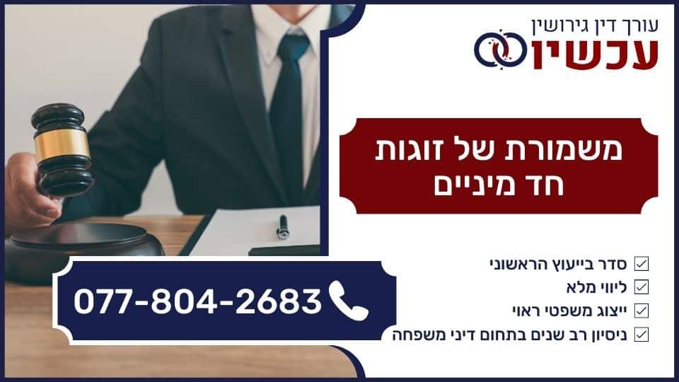משמורת של זוגות חד מיניים